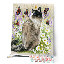 Charger l'image dans la galerie, Peinture par numéros Découverte des papillons | Figured'Art intermédiaire nouveautés animaux chats papillons fleurs