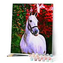Charger l'image dans la galerie, Peinture par numéros Cheval et fond coloré | Figured'Art intermédiaire nouveautés animaux chevaux