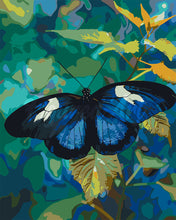 Charger l&#39;image dans la galerie, Peinture par numéros Figured&#39;Art Papillon Heliconius Cydno