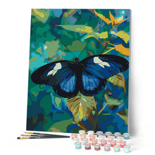 Charger l'image dans la galerie, Papillon Heliconius Cydno