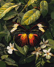 Charger l&#39;image dans la galerie, Peinture par numéros Figured&#39;Art Papillon Heliconius Erato