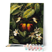 Charger l'image dans la galerie, Papillon Heliconius Erato