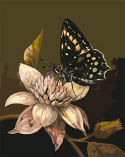 Charger l&#39;image dans la galerie, Peinture par numéros Figured&#39;Art Papillon Mormon et Fleur