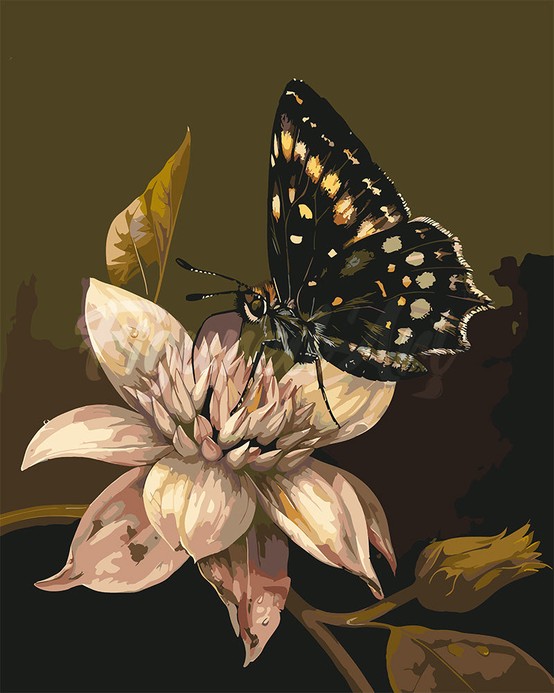 Peinture par numéros Figured'Art Papillon Mormon et Fleur