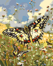 Charger l&#39;image dans la galerie, Peinture par numéros Figured&#39;Art Papillon Proserpine et Fleurs des Champs