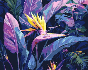 Peinture par numéros Figured'Art Oiseau de paradis