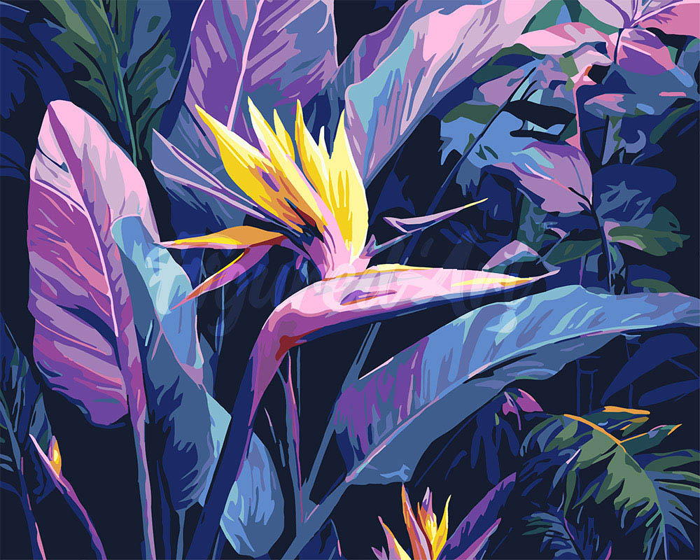 Peinture par numéros Figured'Art Oiseau de paradis
