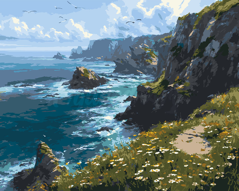 Peinture par numéros Figured'Art Prairie Fleurie en Bord de Falaise