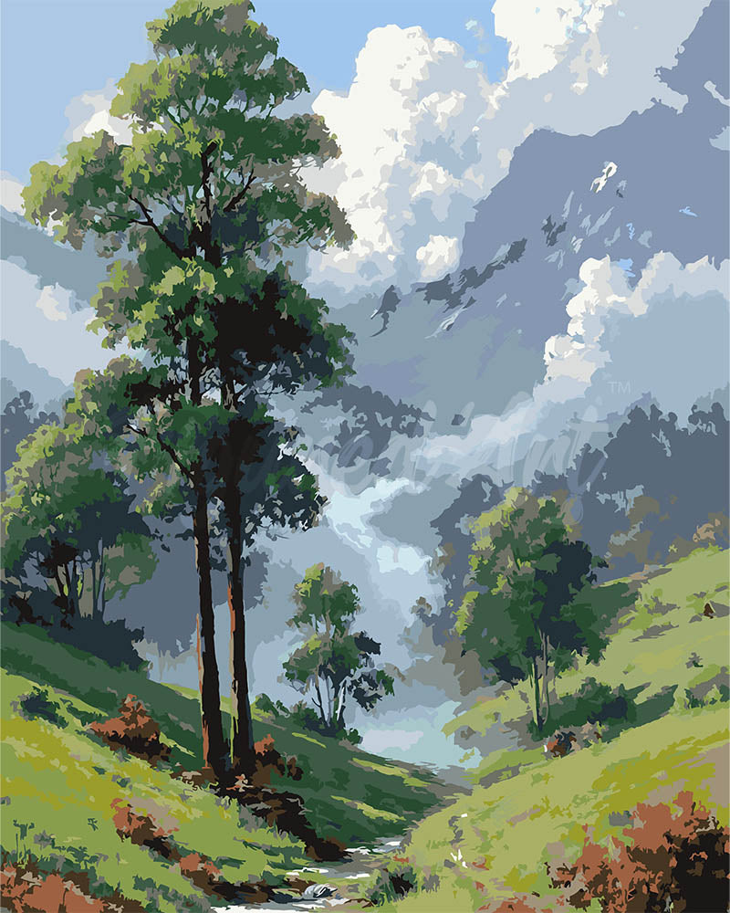 Peinture par numéros Figured'Art Vallée Brumeuse