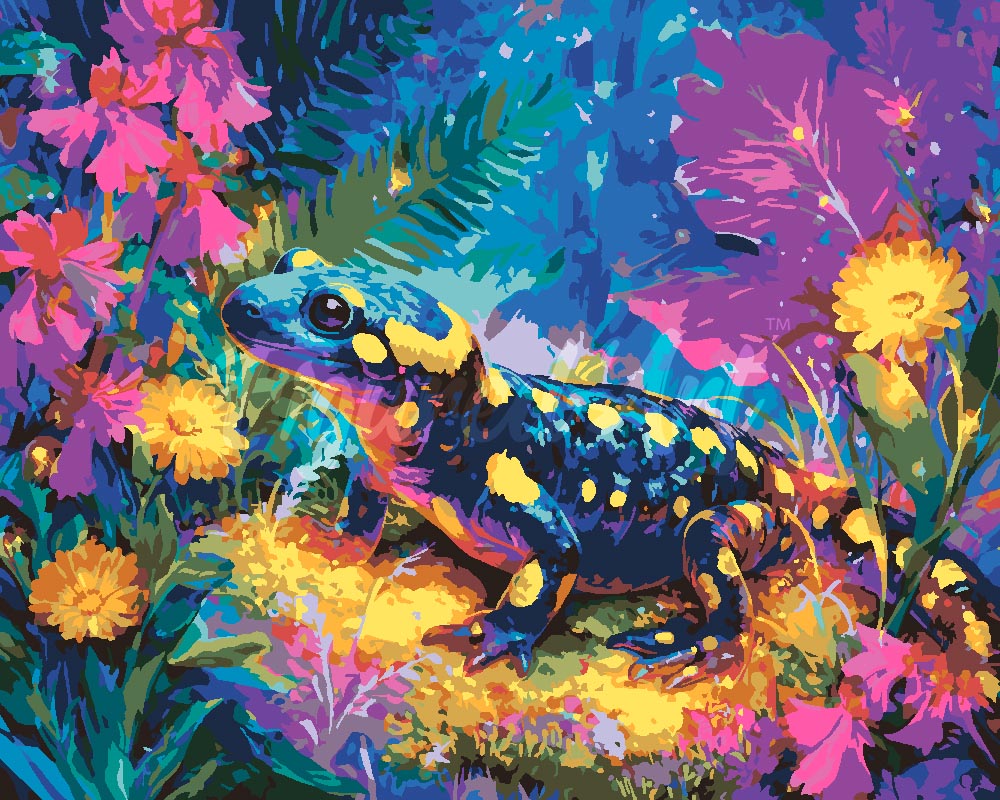 Peinture par numéros Figured'Art Salamandre à Pois