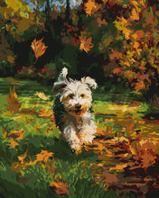 Charger l&#39;image dans la galerie, Peinture par numéros Figured&#39;Art Chiot joyeux en automne