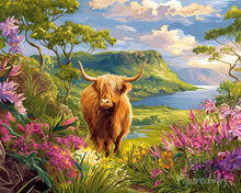Charger l'image dans la galerie, Peinture par numéros Figured'Art Vache Highland et vallée printanière