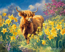 Charger l'image dans la galerie, Peinture par numéros Figured'Art Vache Highland et jonquilles