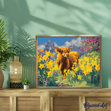 Charger l'image dans la galerie, Vache Highland et jonquilles