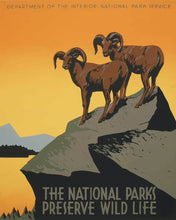 Charger l'image dans la galerie, Peinture par numéros Figured'Art Affiche des parcs nationaux