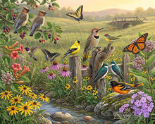 Charger l'image dans la galerie, Peinture par numéros Figured'Art Harmonie des Fleurs Sauvages