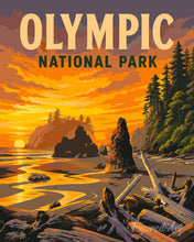 Charger l'image dans la galerie, Peinture par numéros Figured'Art Parc national Olympique -Washington