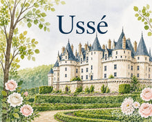 Charger l'image dans la galerie, Peinture par numéros Figured'Art Château d’Ussé