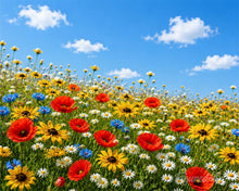 Charger l'image dans la galerie, Peinture par numéros Figured'Art Prairie de fleurs sauvages