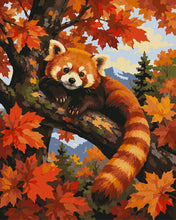 Charger l'image dans la galerie, Peinture par numéros Figured'Art Panda Roux dans un Érable