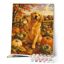 Charger l'image dans la galerie, Golden Retriever dans un Champ de Citrouilles