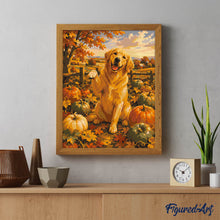 Charger l'image dans la galerie, Golden Retriever dans un Champ de Citrouilles