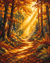 Charger l'image dans la galerie, Peinture par numéros Figured'Art Sentier Forestier et rayons de Soleil