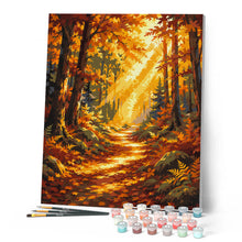 Charger l'image dans la galerie, Sentier Forestier et rayons de Soleil