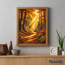 Charger l'image dans la galerie, Sentier Forestier et rayons de Soleil
