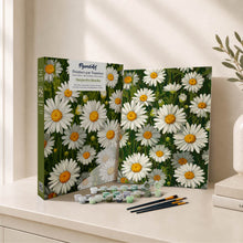 Charger l'image dans la galerie, Coffret Peinture par numéros - Marguerites blanches