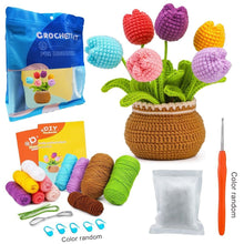 Charger l&#39;image dans la galerie, Kit Amigurumi Crochet - Bouquet de Tulipes