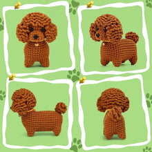 Charger l&#39;image dans la galerie, Kit Amigurumi Crochet - Caniche Marron