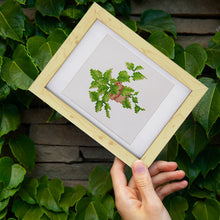Charger l&#39;image dans la galerie, Mini Diamond Painting 15x20cm (4 pièces) - Joyaux du Jardin : Mini Succulente