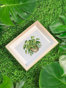 Mini Série Diamond Painting - Plantes 2