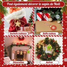 Charger l'image dans la galerie, Décorations de Noël Peinture par Numéros - Kit Friandises en Pain d'Épices &amp; Flocons