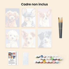 Charger l'image dans la galerie, Mini Peinture par numéros 15x20cm (6 pièces) - Portraits Modernes de Chiens 2