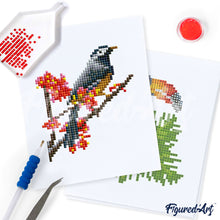 Charger l&#39;image dans la galerie, Mini Série Diamond Painting - Oiseaux