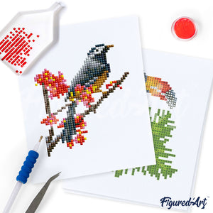 Mini Série Diamond Painting - Oiseaux