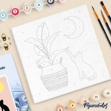 Charger l'image dans la galerie, Mini Peinture par Numéros 20x20cm avec cadre Chaton et Plante au clair de Lune