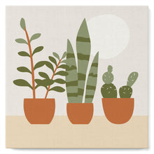 Charger l'image dans la galerie, Mini Peinture par Numéros 20x20cm avec cadre Plantes grasses