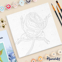 Charger l'image dans la galerie, Mini Peinture par Numéros 20x20cm avec cadre Fleur en bouton