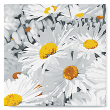 Charger l'image dans la galerie, Mini Peinture par Numéros 20x20cm avec cadre Jolies Marguerites