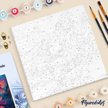 Charger l'image dans la galerie, Mini Peinture par Numéros 20x20cm avec cadre Hibiscus au coucher de soleil