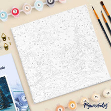 Charger l'image dans la galerie, Mini Peinture par Numéros 20x20cm avec cadre Nuit Étoilée à Noël