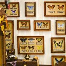 Charger l'image dans la galerie, Book Nook - Maison des Papillons