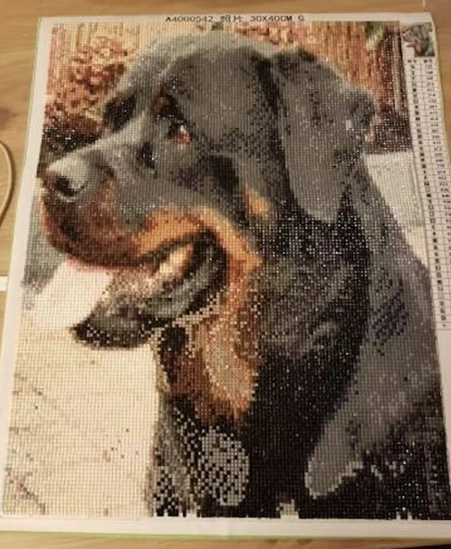 Le diamond painting personnalisé de Mélissa