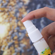 Charger l'image dans la galerie, Accessoires de Peinture par Numéros - Vernis brillant 35 ml