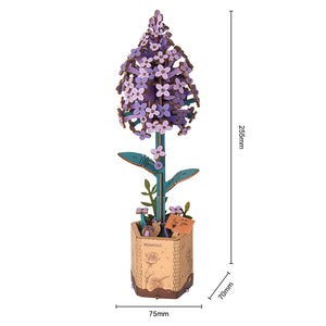 Puzzle 3D Lilas