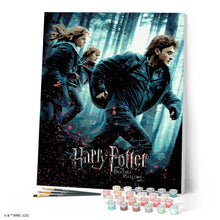 Charger l'image dans la galerie, Harry Potter et les Reliques de la Mort - Partie 1 Affiche