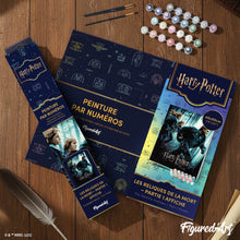 Charger l'image dans la galerie, Harry Potter et les Reliques de la Mort - Partie 1 Affiche